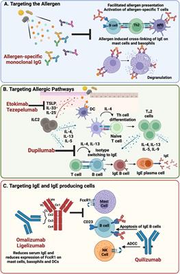 Biologics as novel therapeutics for the treatment of allergy: Challenges and opportunities